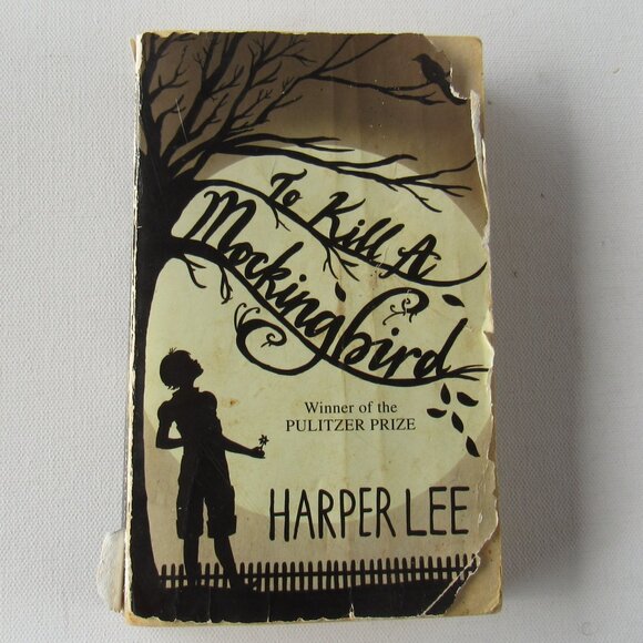 Set Of Two Paperback Books - To Kill a Mockingbird and Darkfever - Picture 2 of 16